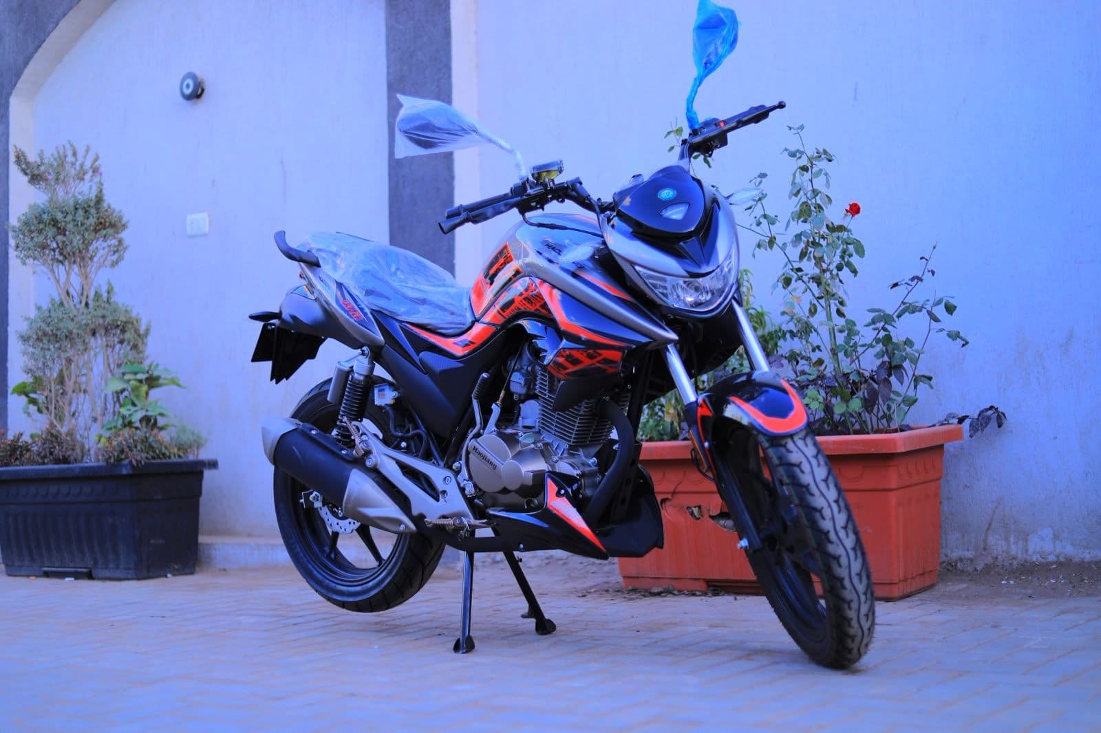 هوجن L 250