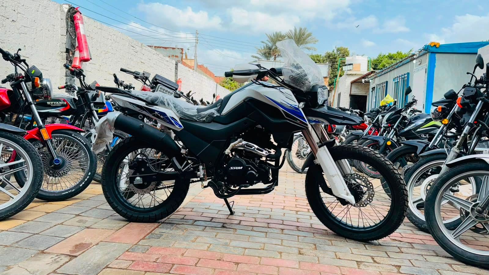 Rkx 250